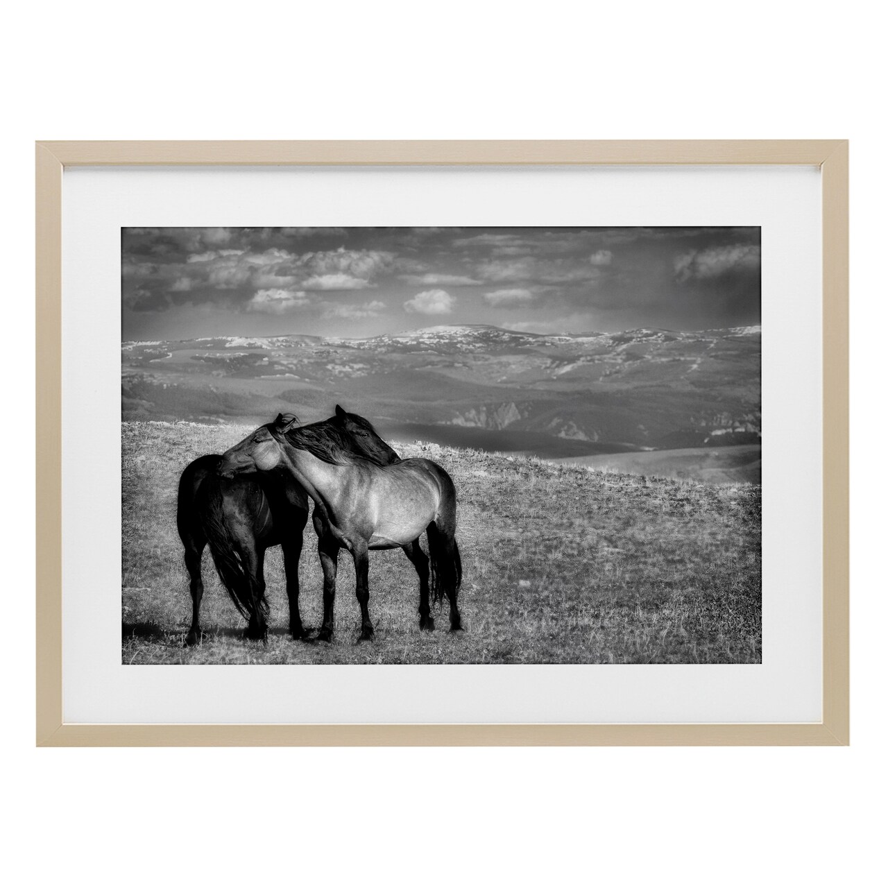 Stupell Industries Focused Horse Duo Framed Print Under Glass, design by Wendy Caro